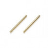 AXES DE PIVOT TITANE TAMIYA F103/104