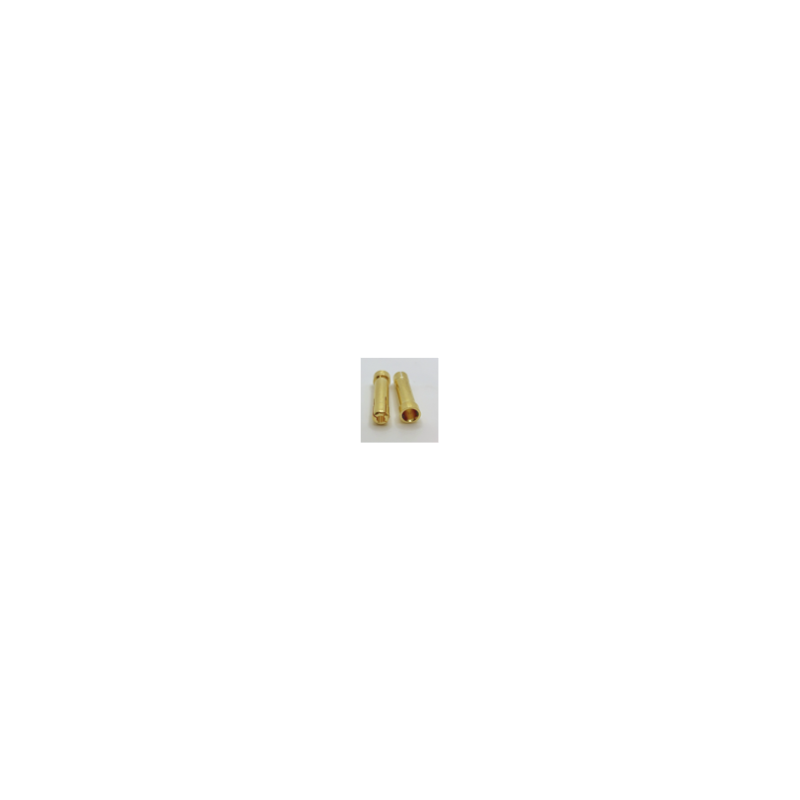 Prises adaptateur 4/5.0mm (x2)