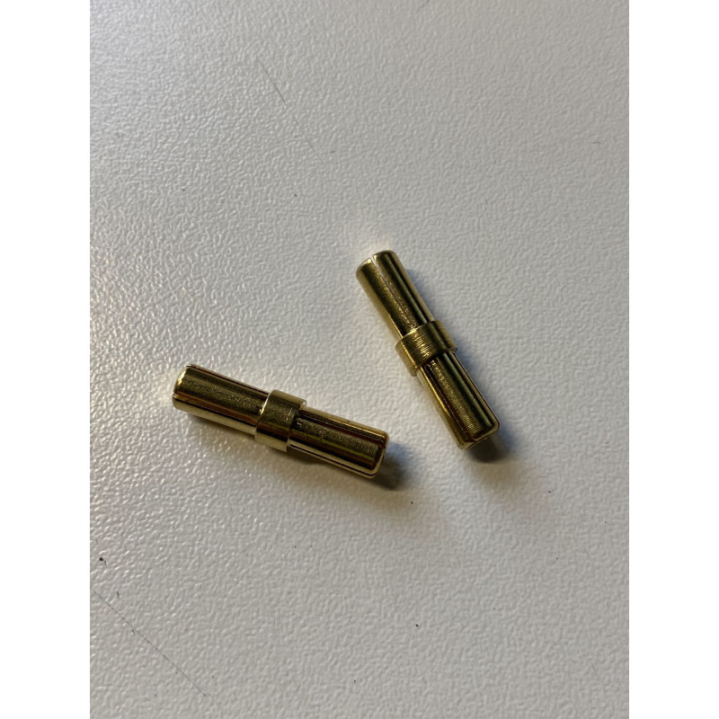 Prises adaptateur Male/Male 5.0mm (x2)