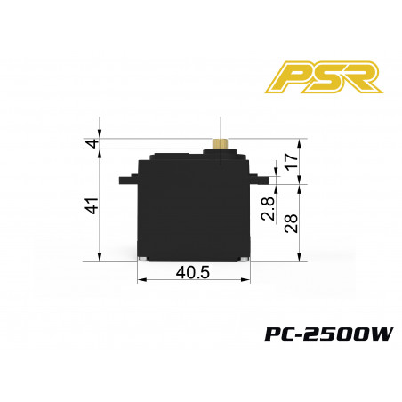 Powerstar servo PC-2500W - Etanche - Nouveau
