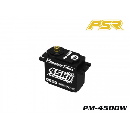 Powerstar Servo PM-4500W - Etanche