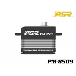 Powerstar PM-8509 Mini Digital 25T