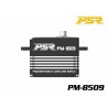 Powerstar PM-8509 Mini Digital 25T