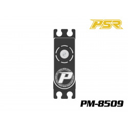Powerstar PM-8509 Mini Digital 25T