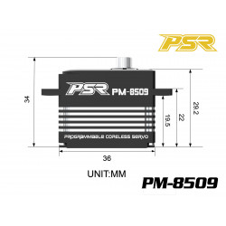 Powerstar PM-8509 Mini Digital 25T