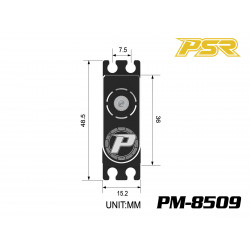 Powerstar PM-8509 Mini Digital 25T