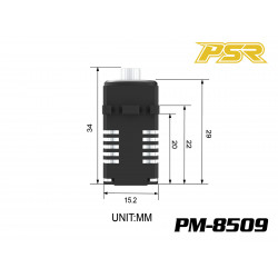 Powerstar PM-8509 Mini Digital 25T