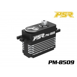 Powerstar PM-8509 Mini Digital 25T