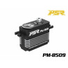 Powerstar PM-8509 Mini Digital 25T