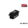 Powerstar PL-8012-HV Low Profile Digital